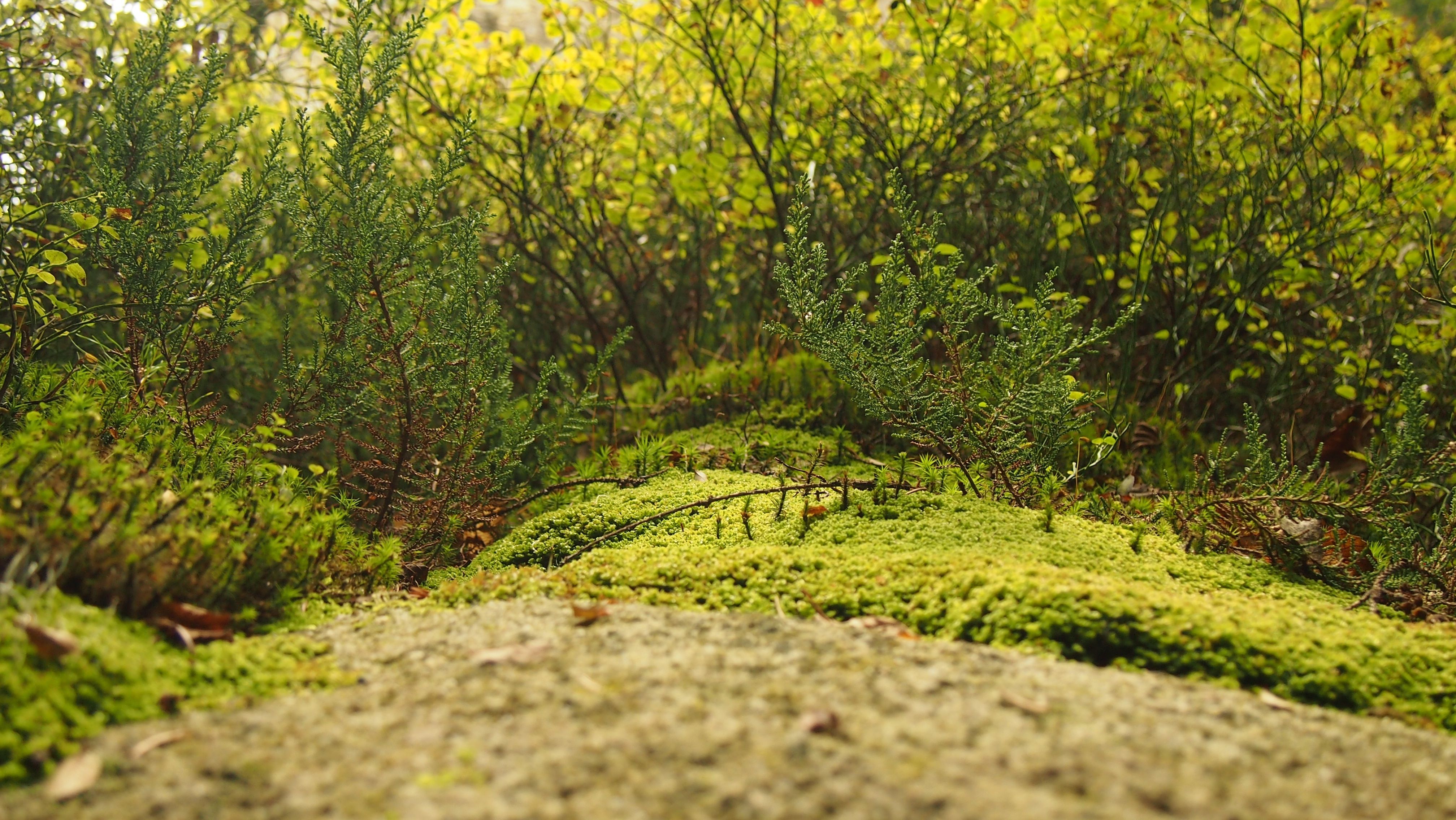 Read more about the article Ipsum itaque illo expedita recusandae suscipit animi